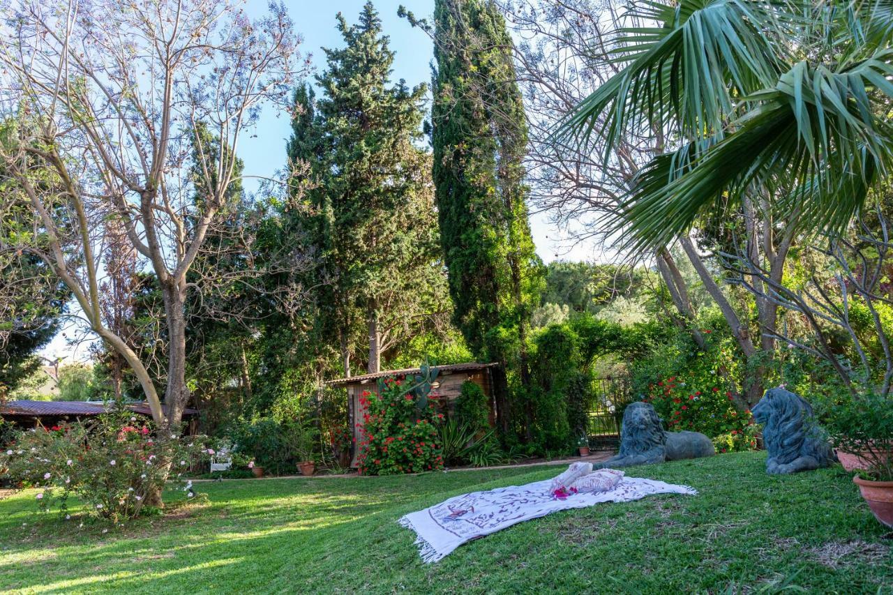 Il Giardino Di Michela By Domusicily Villa Mondello Eksteriør billede