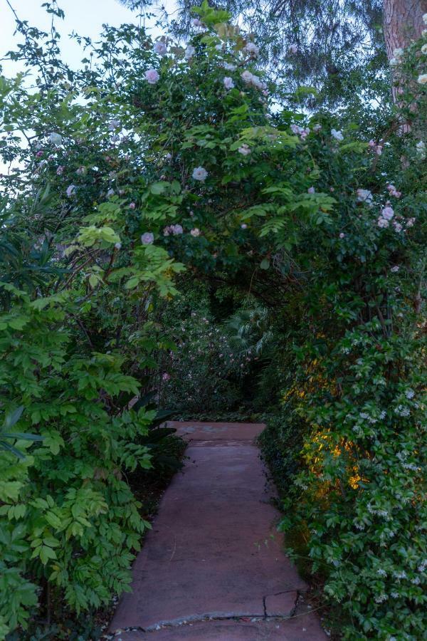 Il Giardino Di Michela By Domusicily Villa Mondello Eksteriør billede