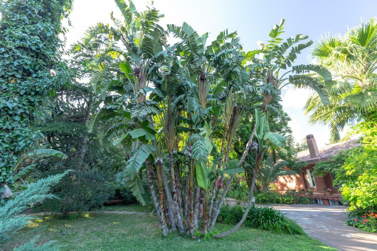 Il Giardino Di Michela By Domusicily Villa Mondello Eksteriør billede